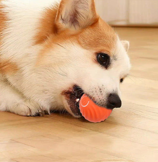 Juguete Pelota Interactiva para Mascotas